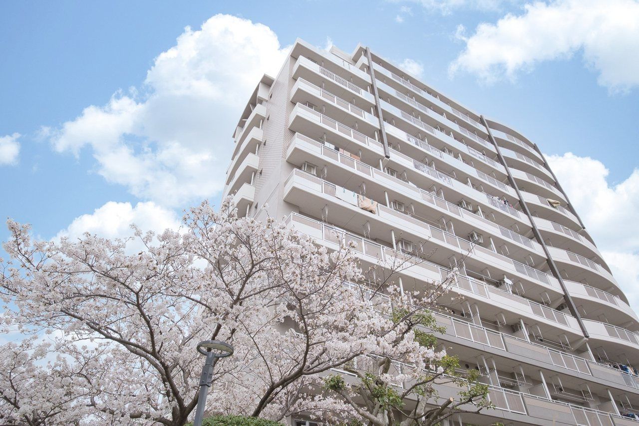 桜の木と、青空にそびえるマンション